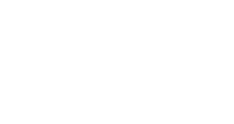 Pivot Point International
