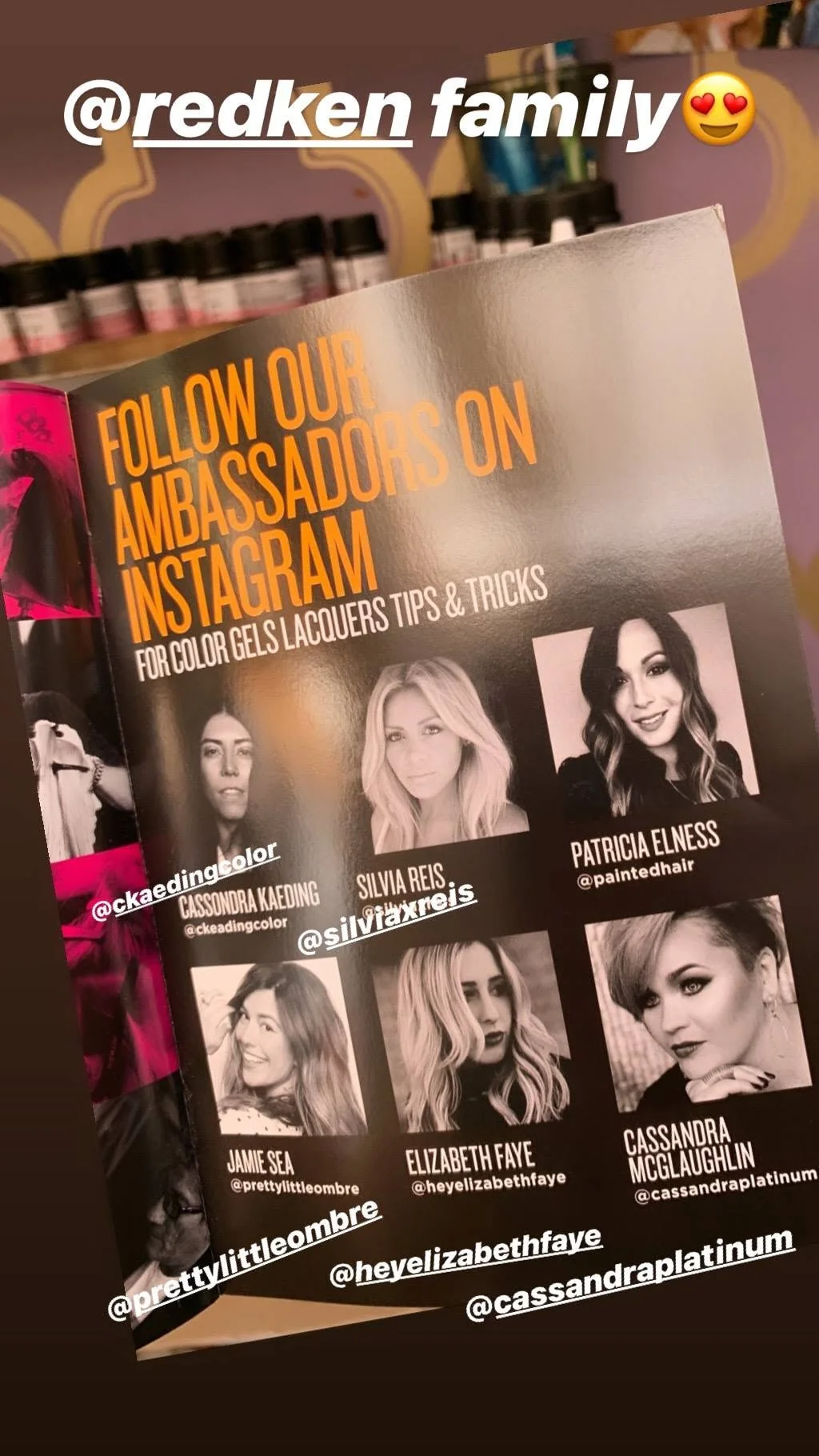The Redken ambassador line up featuring Elizabeth Faye